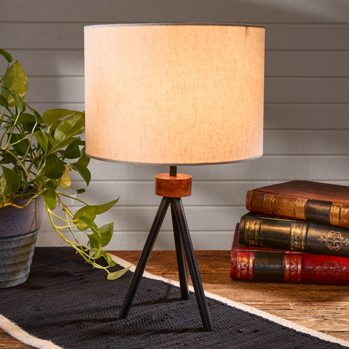 Wood & Iron Lamp